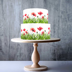 Wild Meadow Flowers Watercolour seamless floral cake ribbon border edible topper decoration